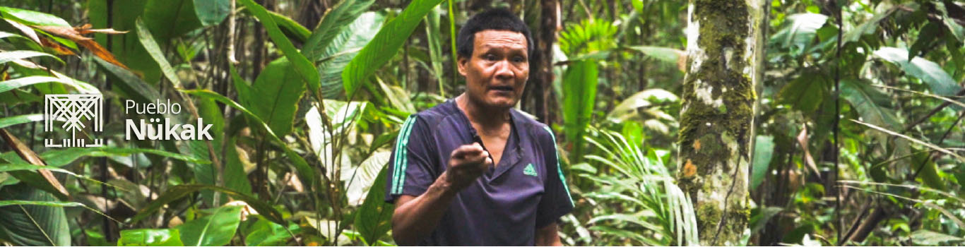 Pueblo Nükak