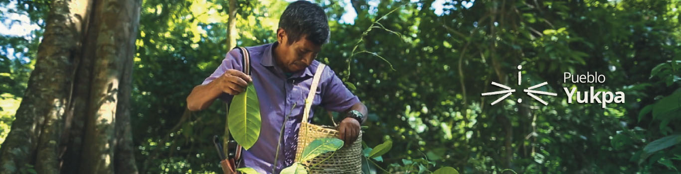 Pueblo Yukpa