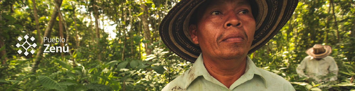 Pueblo Zenú